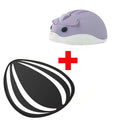 Purple Mouse and Pad